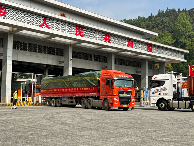 中国龙邦—越南茶岭国际性口岸(含中国那西—越南那弄通道)货车正有序通关625.jpg